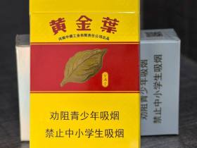 黄金叶(金满堂)