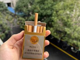 芙蓉王(硬)