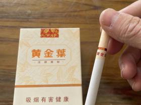 黄金叶(天韵)