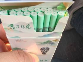 人民大会堂(古瓷细支)