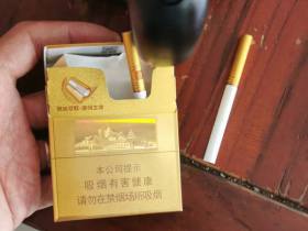 七匹狼(小金砖)