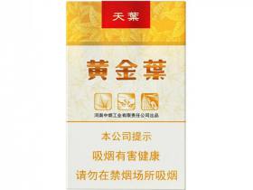 黄金叶(软天叶)