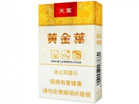 黄金叶(软天叶)