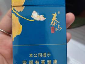 泰山(蓝颜悦)