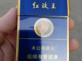红玫王(硬蓝)