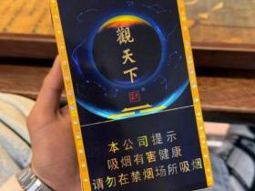 天子(观天下)
