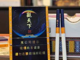 天子(观天下)