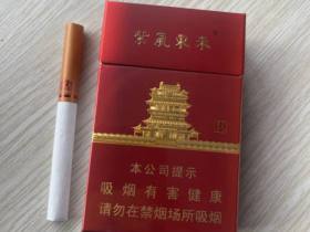 紫气东来(鹳雀楼)
