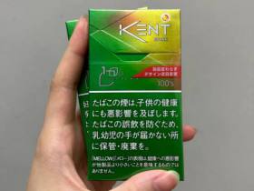 健牌(黄冰菠萝薄荷爆珠100S)