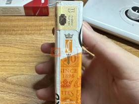 契斯特菲尔德(硬橙摩洛哥版)
