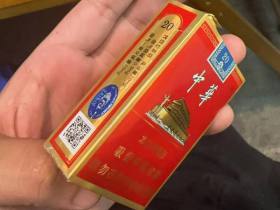 中华(金短支)