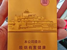 七匹狼(金砖中支)