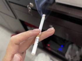 冬虫夏草(和润)
