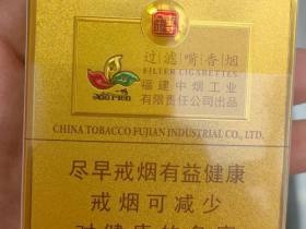 七匹狼(小金砖)