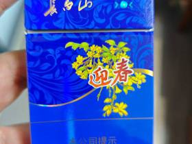 长白山(蓝尚)
