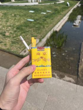 南京(软九五)