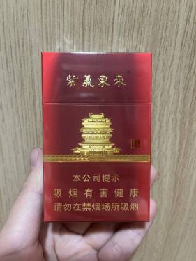 紫气东来(鹳雀楼)