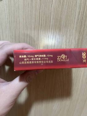 紫气东来(鹳雀楼)