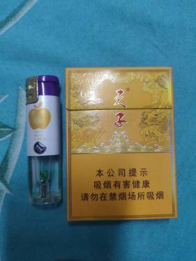 天子(中支)