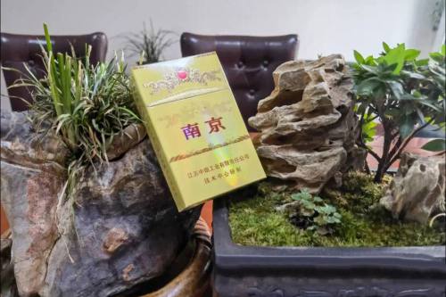 南京(九五)