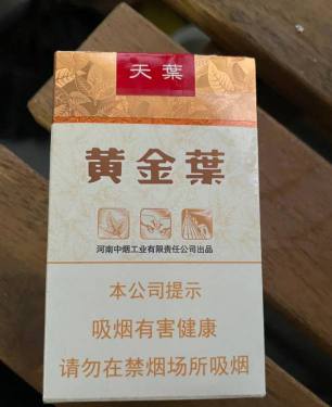黄金叶(软天叶)