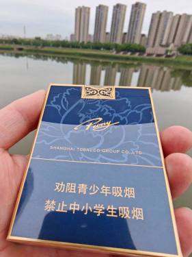 牡丹(蓝中支)