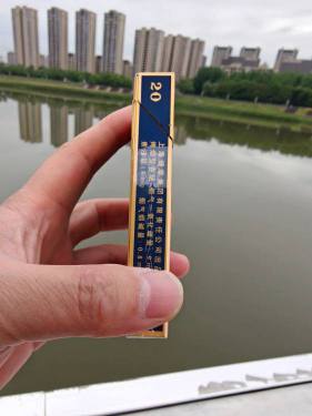 牡丹(蓝中支)