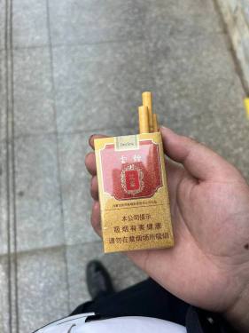 云烟(大苁蓉)