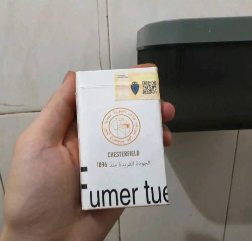 契斯特菲尔德(硬橙摩洛哥版)