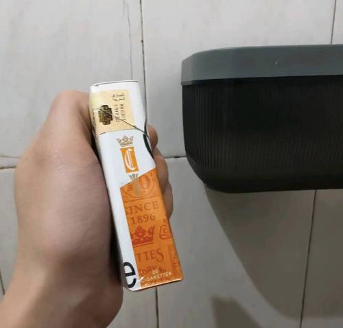 契斯特菲尔德(硬橙摩洛哥版)