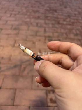 利群(夜西湖)