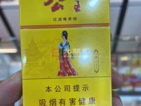 延安(公主)