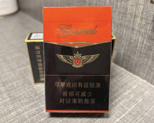 泰山(常胜将军)