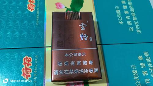 云烟(软如意)