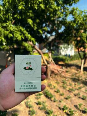 钻石(双中支荷花)