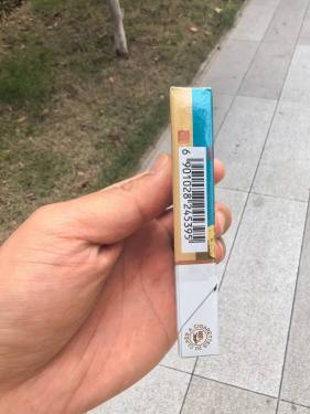 白沙(瑞中支)