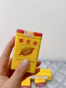 黄金叶(软大金圆)