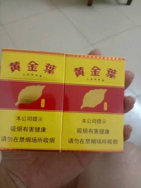 黄金叶(金满堂)