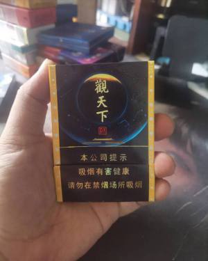 天子(观天下)