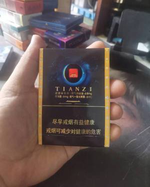 天子(观天下)
