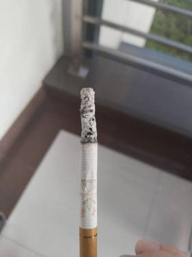 中华(双中支)
