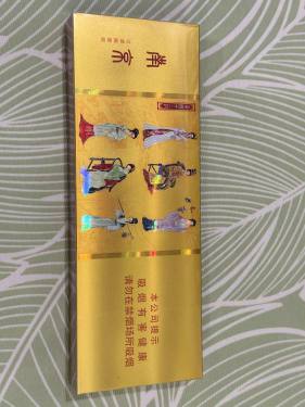 南京(金陵十二钗烤烟)
