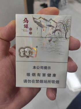 云烟(乌镇之恋中支)