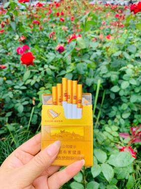 七匹狼(小金砖)