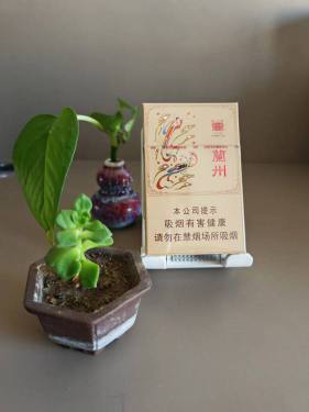 兰州(心如意)