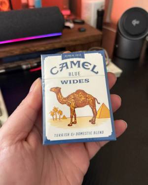 105446_79351