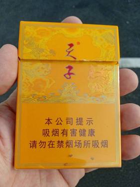 天子(中支)