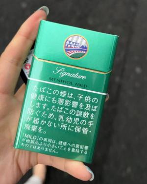 盐仓丁香(Signature薄荷日版)