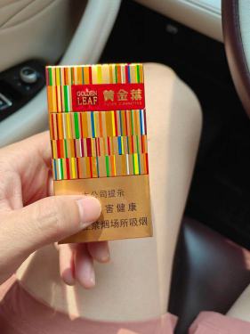 黄金叶(金炫尚)